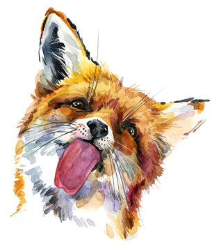 Cute Fox Watercolor Hand Drawn Illustration.