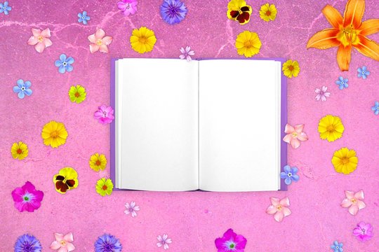 Many flowers like vittrock violet flower and orange lily flower on red cracky concrete background with notepad in center.