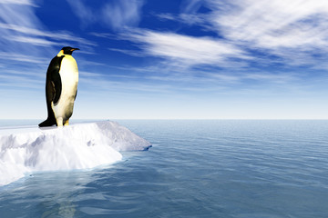 Fototapeta premium Antarctic penguin on ice