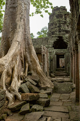 Fototapeta na wymiar Ruine khmer à Angkor