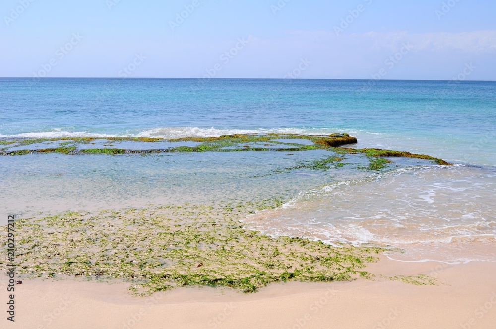 Wall mural beautiful beach in bali, indonesia