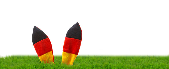 german soccer flag on green grassland stadion 
