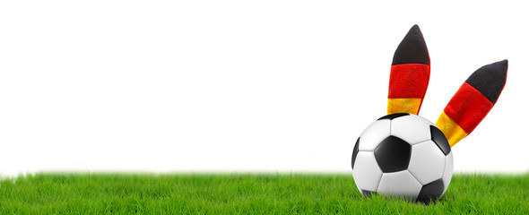 german soccer ball on green grass isolated