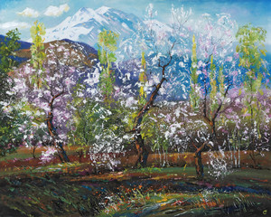 An oil painting on canvas spring flowering of fruit trees against the background of snowy mountains.