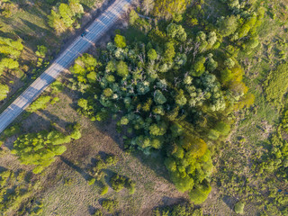 Aerial view of a forest lake 