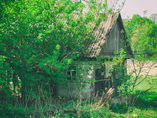 An old abandoned house.