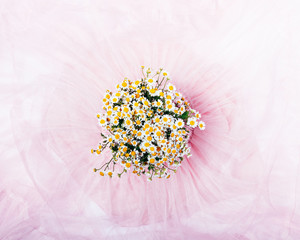 Bouquet of daisies on pink chiffon skirt background