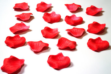 artificial rose petals on white background