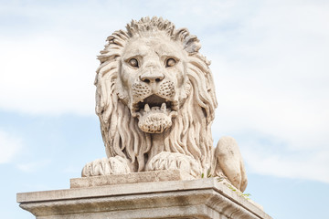 Fototapeta na wymiar Scaring stone lion from the Chain Bridge across the river Danube in Budapest