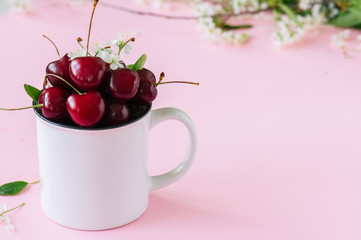 Heap of fresh ripe cherries in a white jar. Pink background.