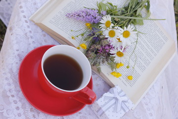 Романтика, Натюр