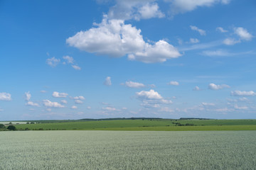 Agricultural landscape in Podolia region of Ukraine