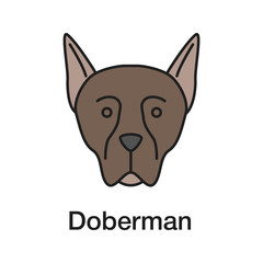 Doberman Pinscher color icon