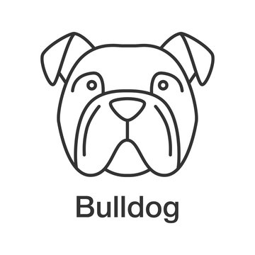 English Bulldog linear icon