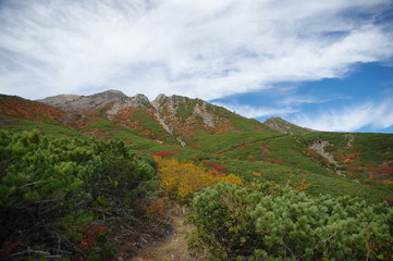 Obraz premium 御嶽山 紅葉