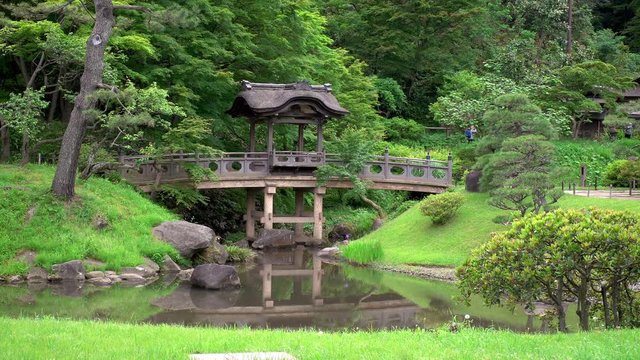 arch bridge behind pine branch in sankeien garden