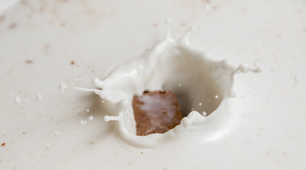 Chocolate falls in milk