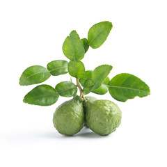 fresh bergamot fruit with leaf on white background