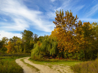 Fototapeta premium Осень на Зелёном острове. 