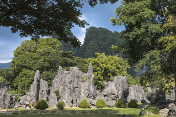 Sulawesi ; Die Höhle  " Leang Pettakere " mit Fels und Höhlenzeichnungen. Hirscheber und Hände, eine der ältesten figurativen Darstellungen weltweit.