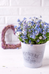 Floral background - blue forget-me-nots or myosotis flowers   in grey bucket and decorative heart