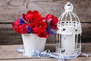 Red tulips and blue muscaries flowers in white bucket  and candle in lantern on aged textured  background.