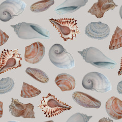 Sea shells, watercolor seamless pattern.