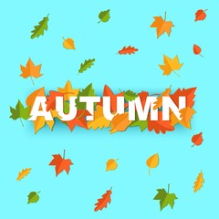 Word AUTUMN composition with green yellow red leaves on blue background in paper cut style. Fall leaf realistic yellow letters for design poster, banner, flyer T-shirt printing. Vector illustration