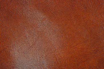 Natural leather background