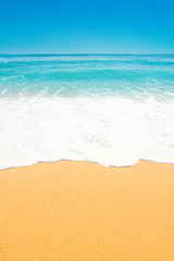 Fototapeta na wymiar Beautiful Tropical beach with Soft wave of blue ocean, sand and transparent sky. Summer travel holiday background concept. Sea panorama.
