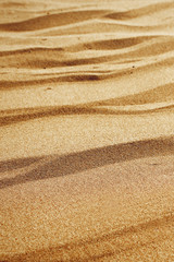 Fototapeta na wymiar Sandy beach on a sunny day, background. Sand dunes, beige texture. Vertical Selective focus.