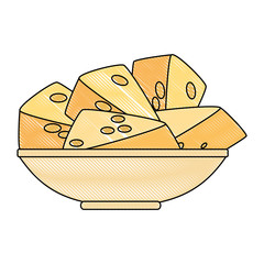 dish with cheese pieces healthy food vector illustration design