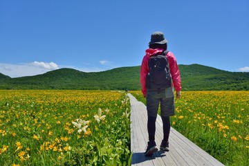 初夏・花の草原を歩く女性