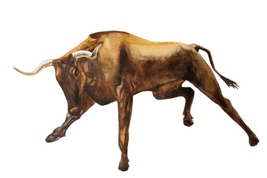 Bear and Bull markets in the Stock Market