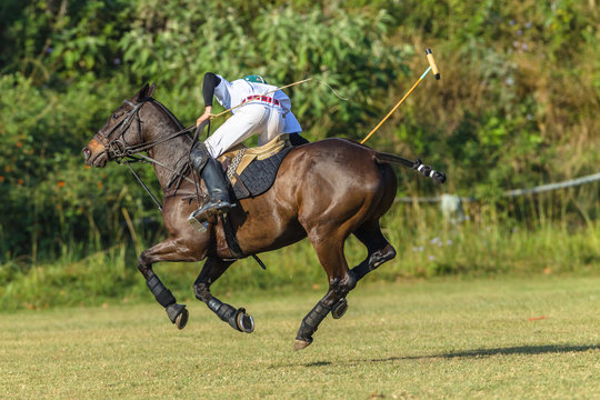 Polo Rider Pony Game Action