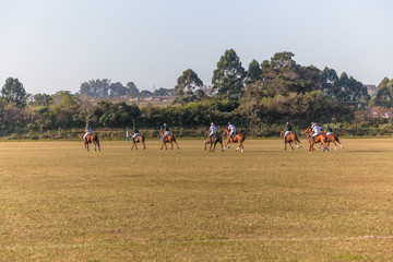 Polo Riders Horses Game Action