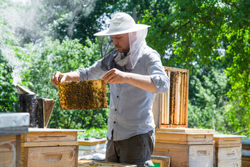Young beekeeper working in the apiary in beekeeping veil and smoker by the wooden bee hives.