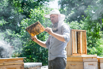Young beekeeper working in the apiary in beekeeping veil and smoker by the wooden bee hives.