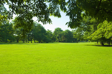 Park lawn