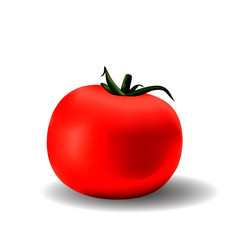 Red ripe tomato