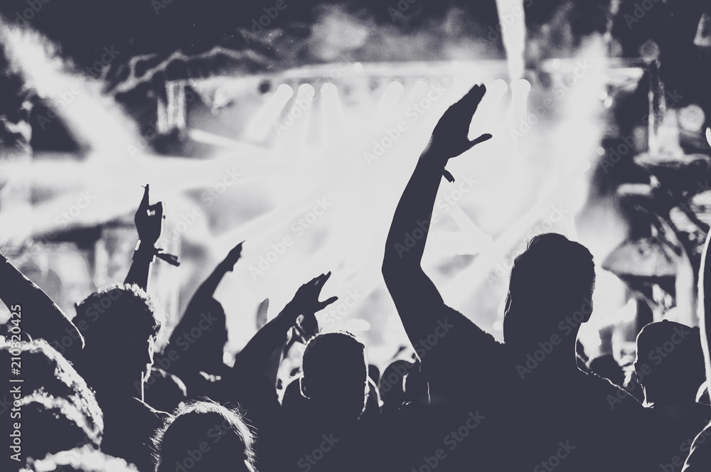 Wall mural People with raised arms partying at concert