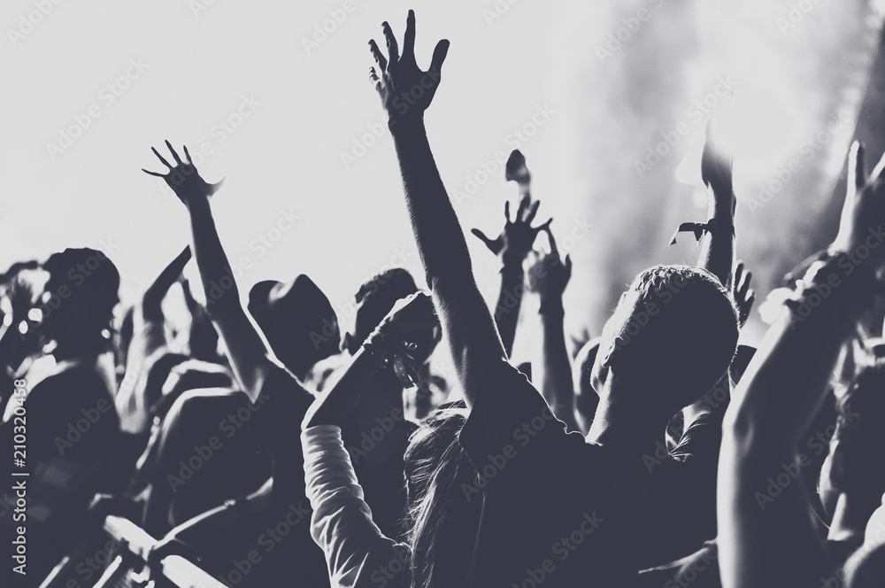 Wall mural people with raised arms partying at concert