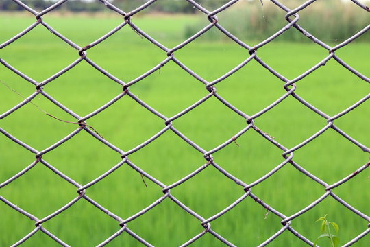 Metal netting, Mesh fence iron Rusty barbed wire detention center security, Chain link fence close up on green nature background, Metal netting for background