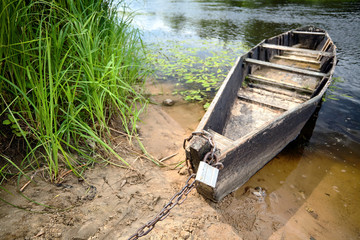 Old wooden rowing boat at green summer bank at noon on Neman river in Grodno Belarus shot wide
