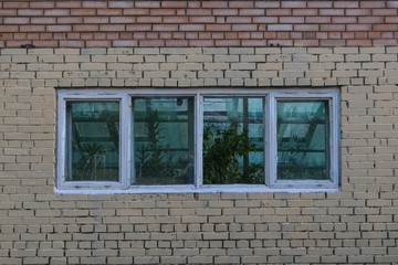 Greenhouse window 