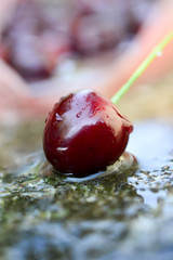 red ripe raw cherries with waterdops