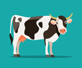 Spotted cow isolated. Vector flat style illustration