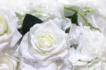 Obraz na płótnie Canvas white roses plastic beautiful for background