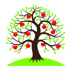 apple tree on hill, nature vector illustration