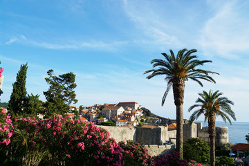 Fototapeta na wymiar Dubrovnik old city view in Croatia in a sunny summer day